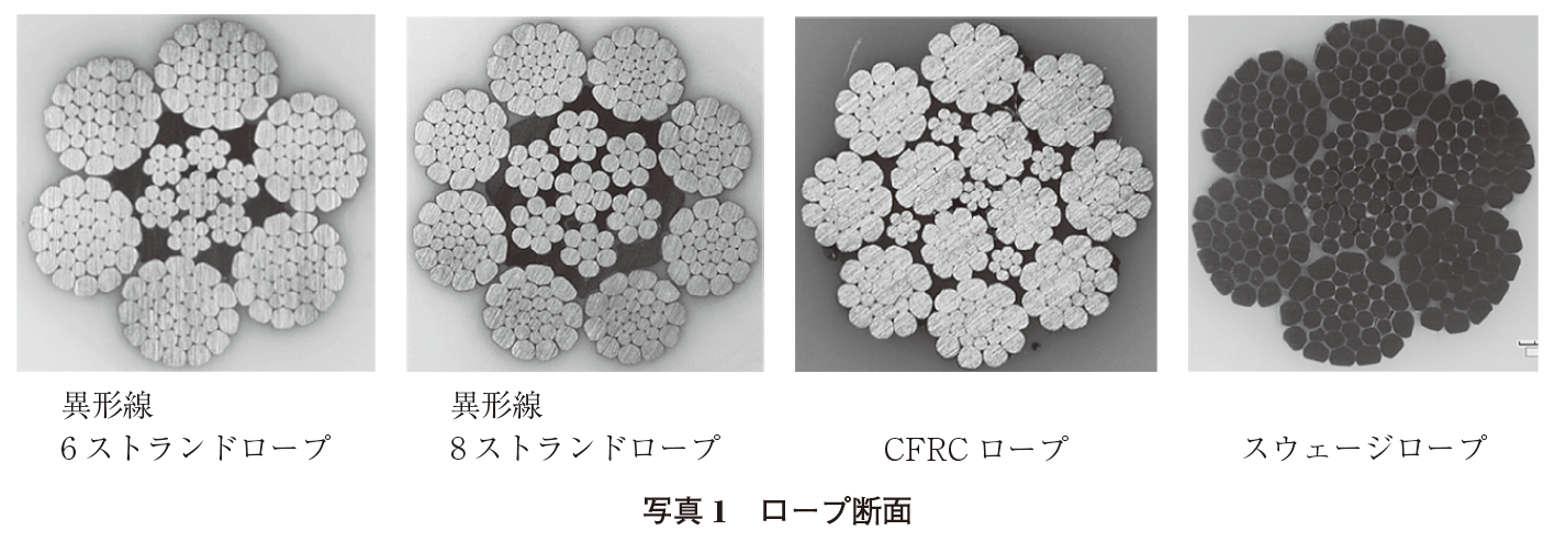 写真１ ロープ断面